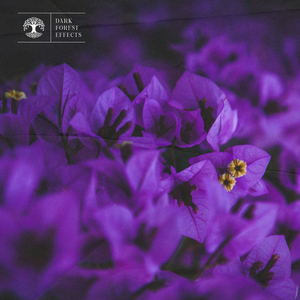 伊东兰沙兰成人AV
